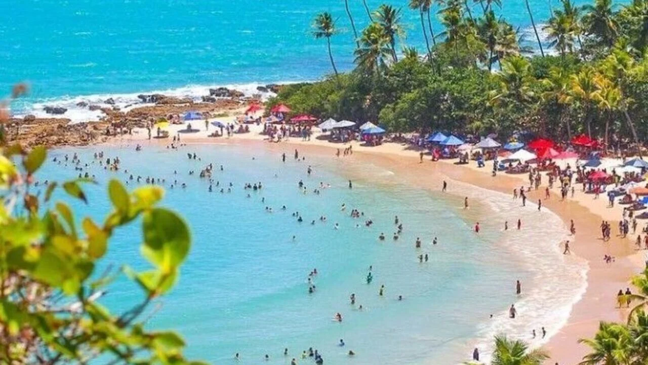 Imagem de Coqueirinho